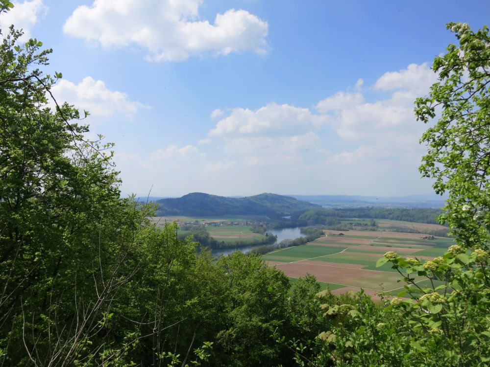 Rhein und Rodenberg