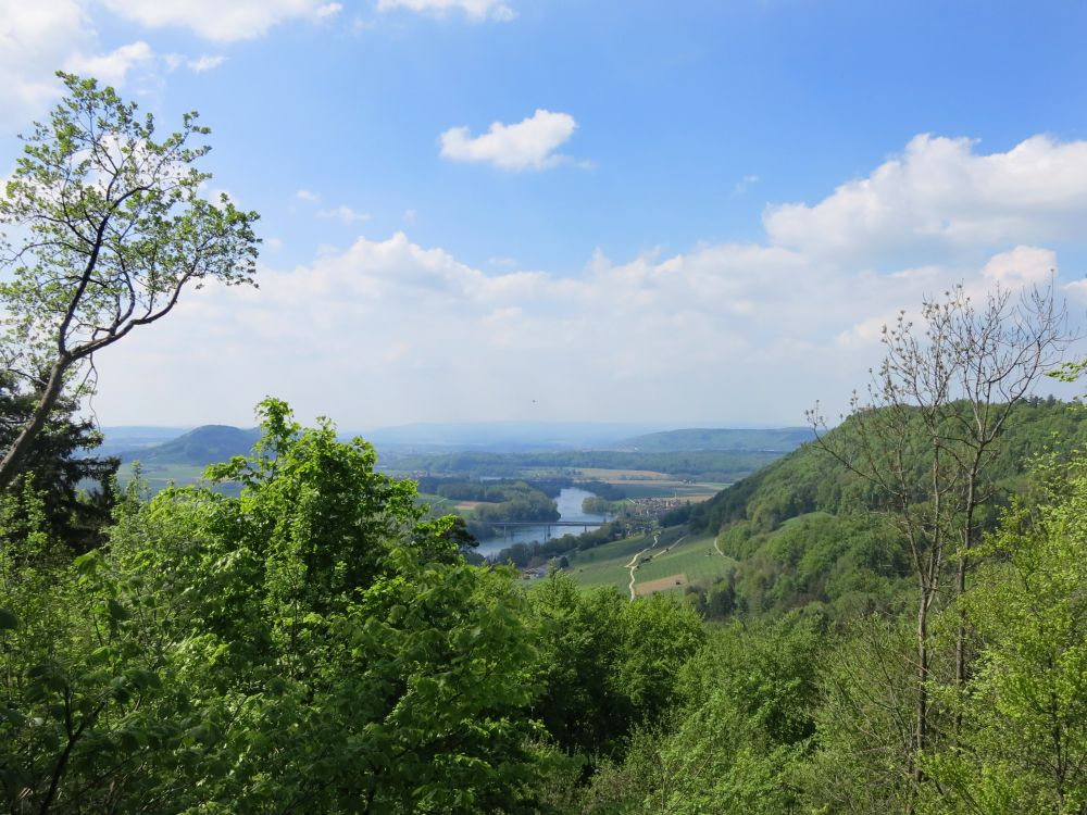 Blick Richtung Eglisau am Rhein