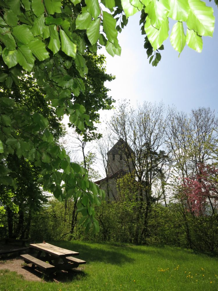 Burg Klingenstein