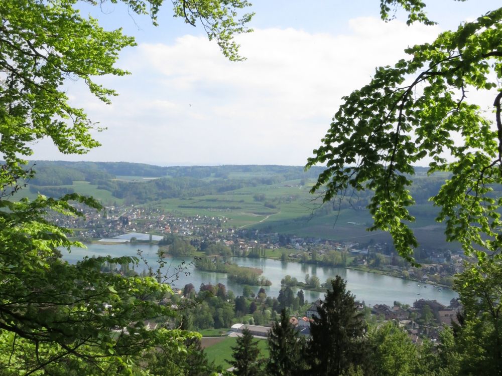 Insel Werd in Rhein