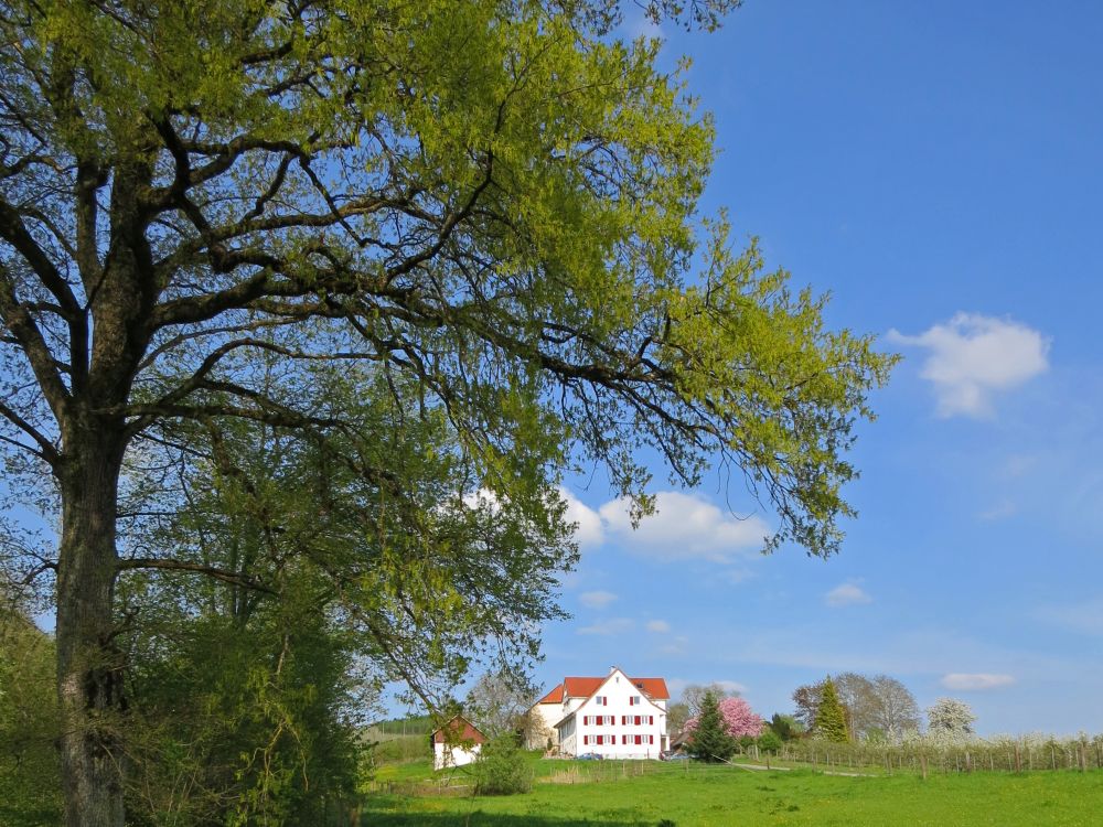 Beim Bruderhof