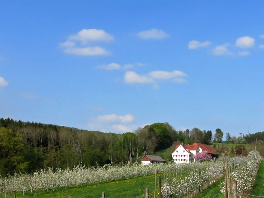 Beim Bruderhof