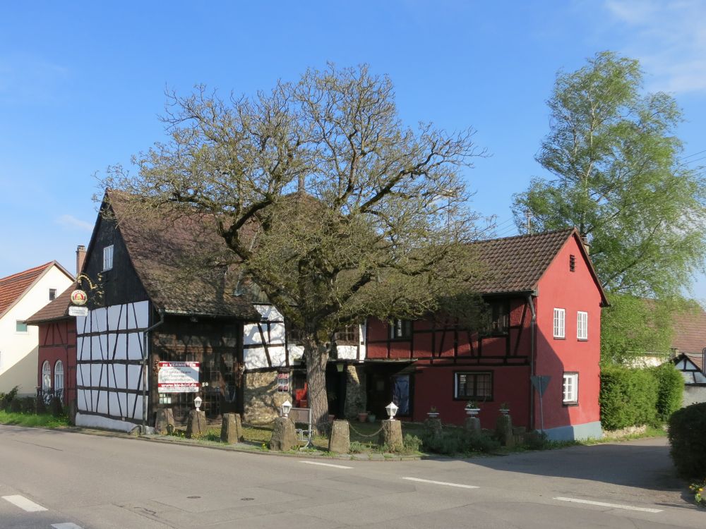 Romanische Weinstube in hningen