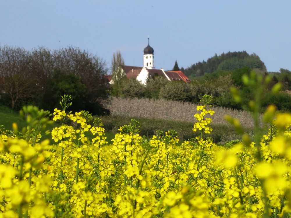 Klöster Öhningen