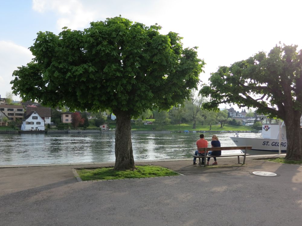 Uferpromenade Stein am Rhein