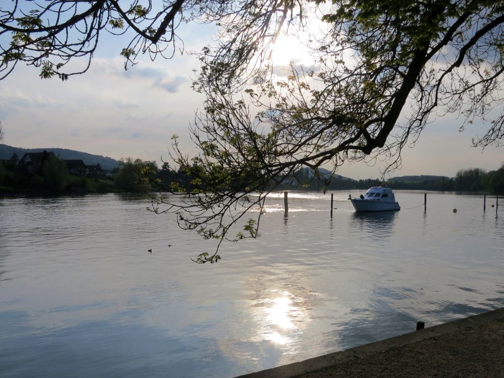 Sonnenuntergang am Rhein