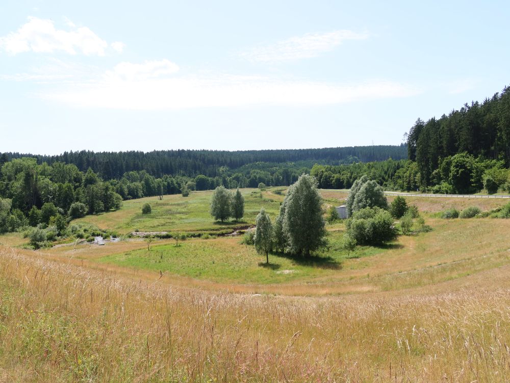 Hochwasserrückhaltebecken
