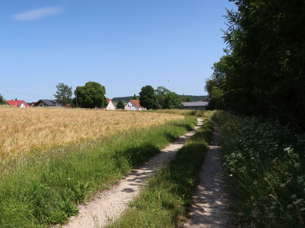 Weg am Kornfeld