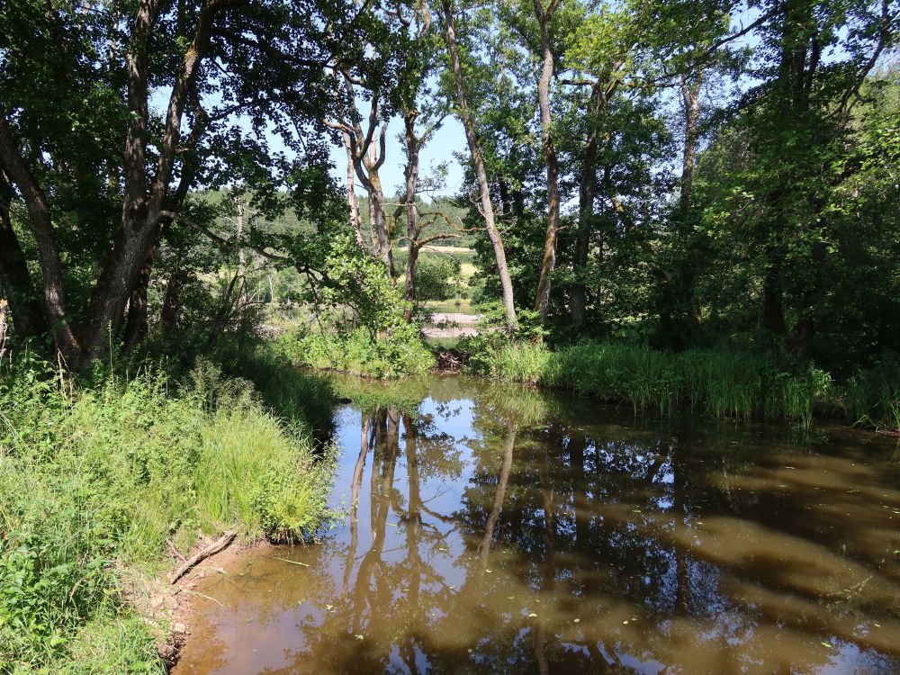 Wolterdinger Weiher