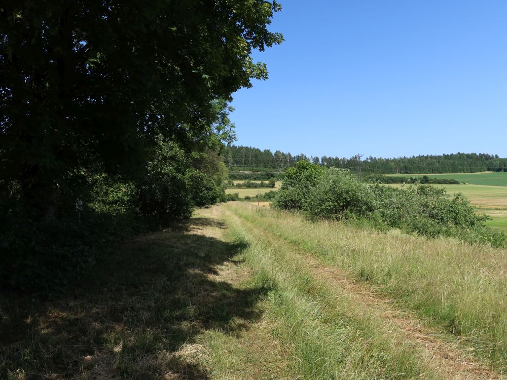 Wiesenpfad