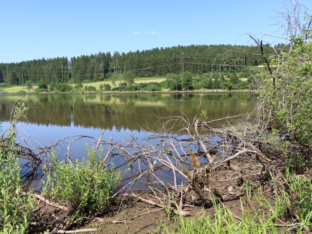 Wolterdinger Weiher