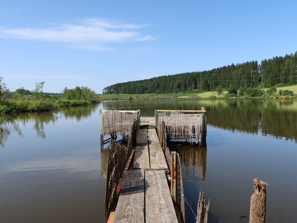 Steg am Wolterdinger Weiher