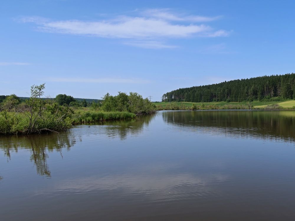 Wolterdinger Weiher
