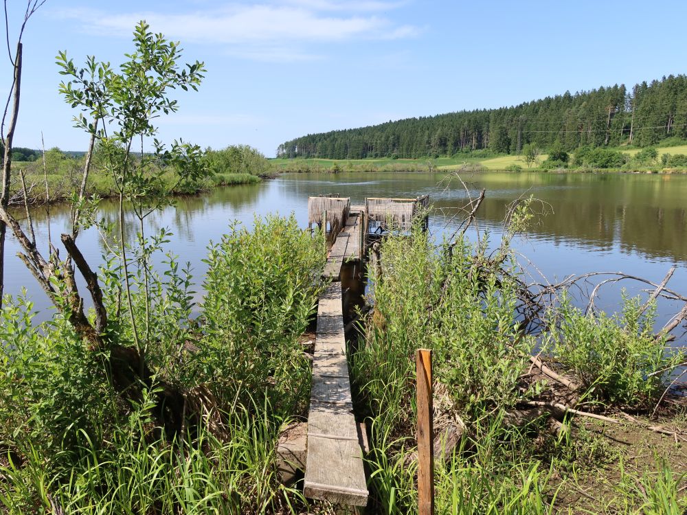 Steg am Wolterdinger Weiher