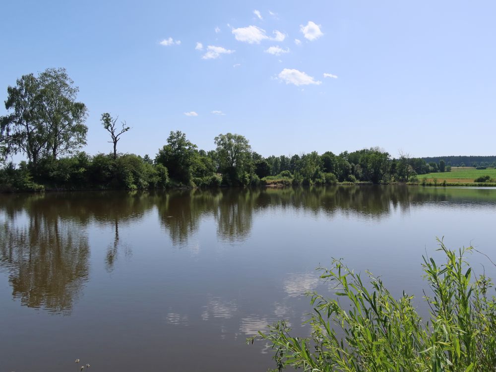 Wolterdinger Weiher
