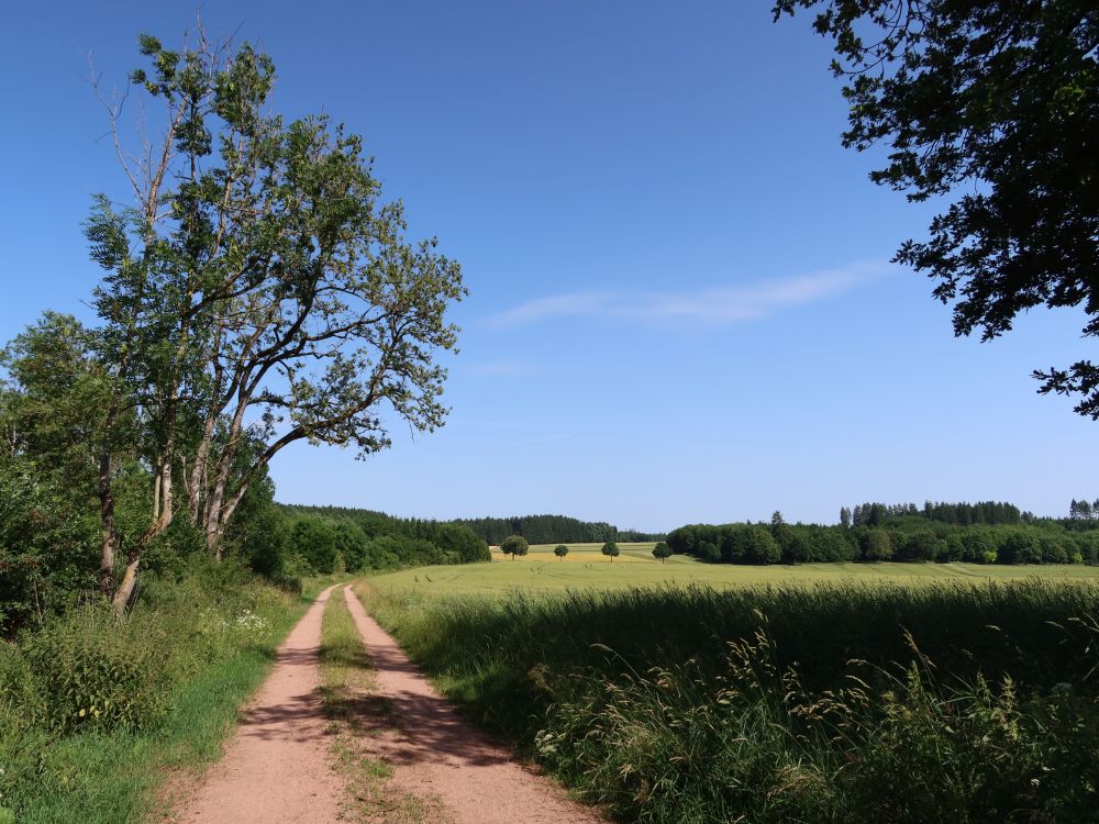 Wirtschaftsweg