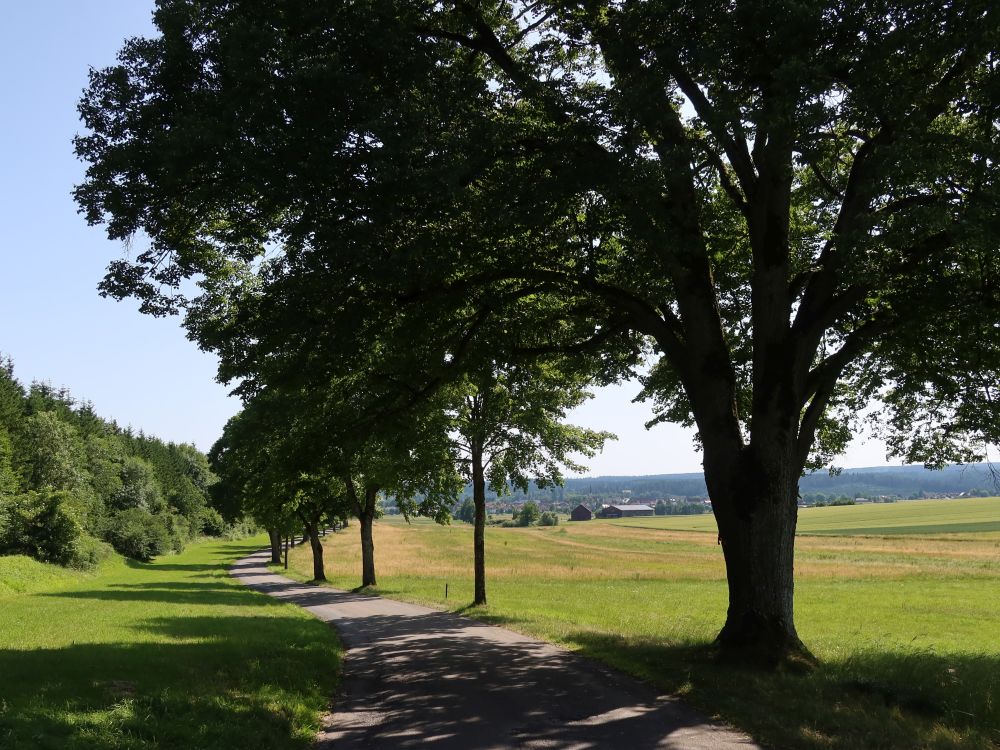 Schwarzwald Panorama-Radweg