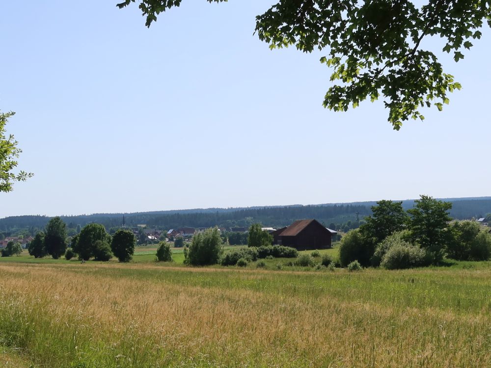 Blick Richtung Wolterdingen