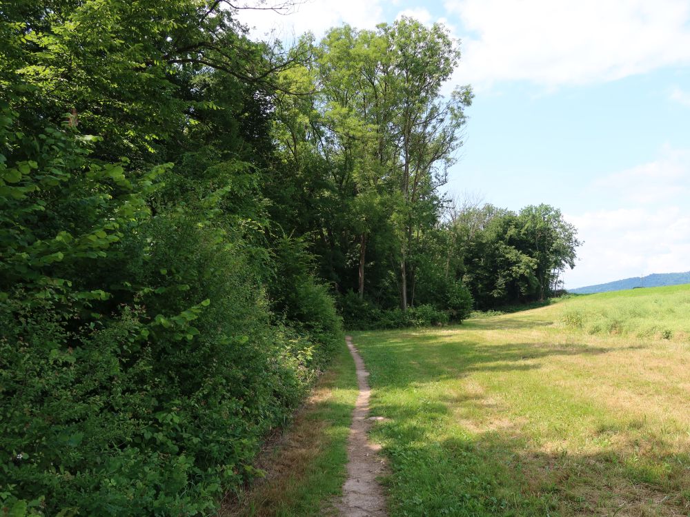 Pfad bei Neuwise