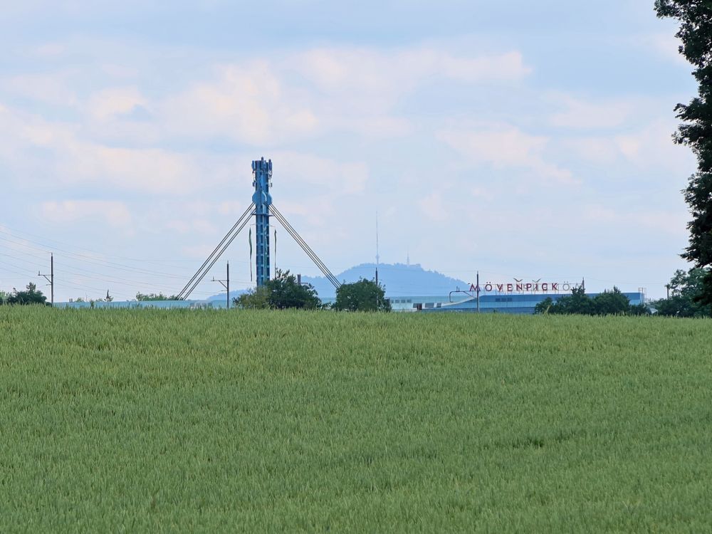 Blick Richtung Uetliberg