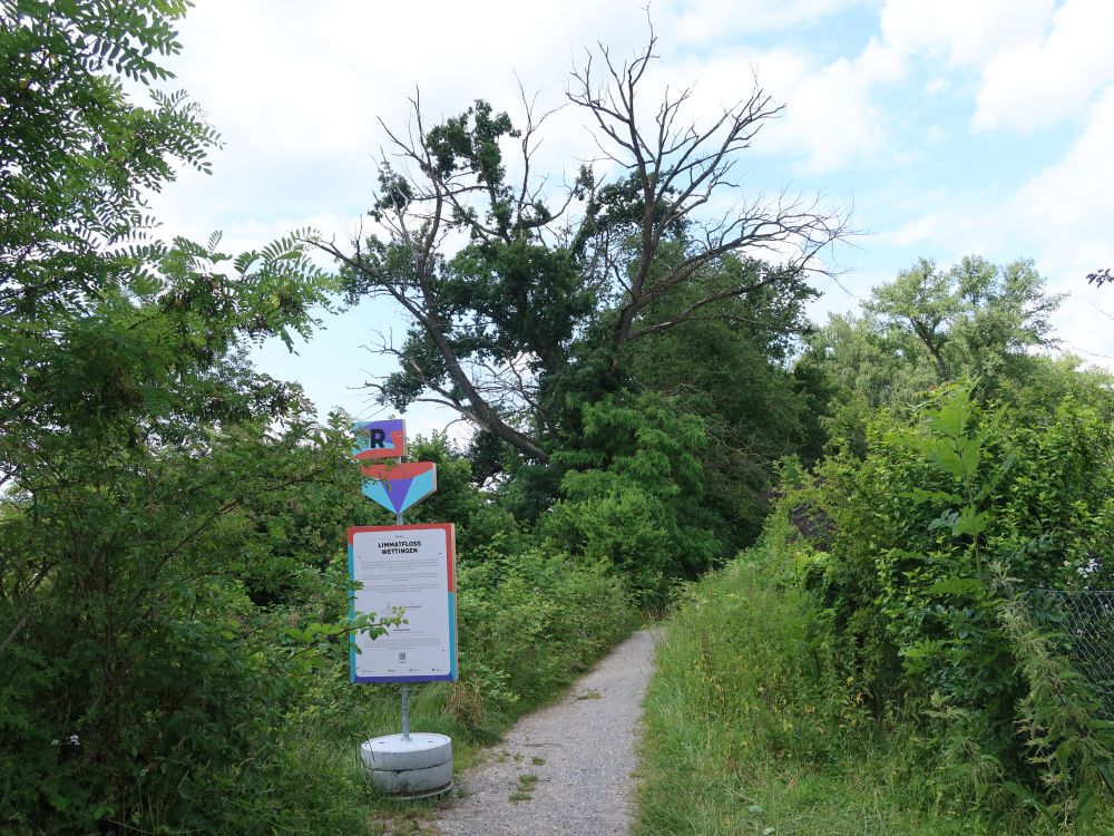 Infotafel am Limmatweg