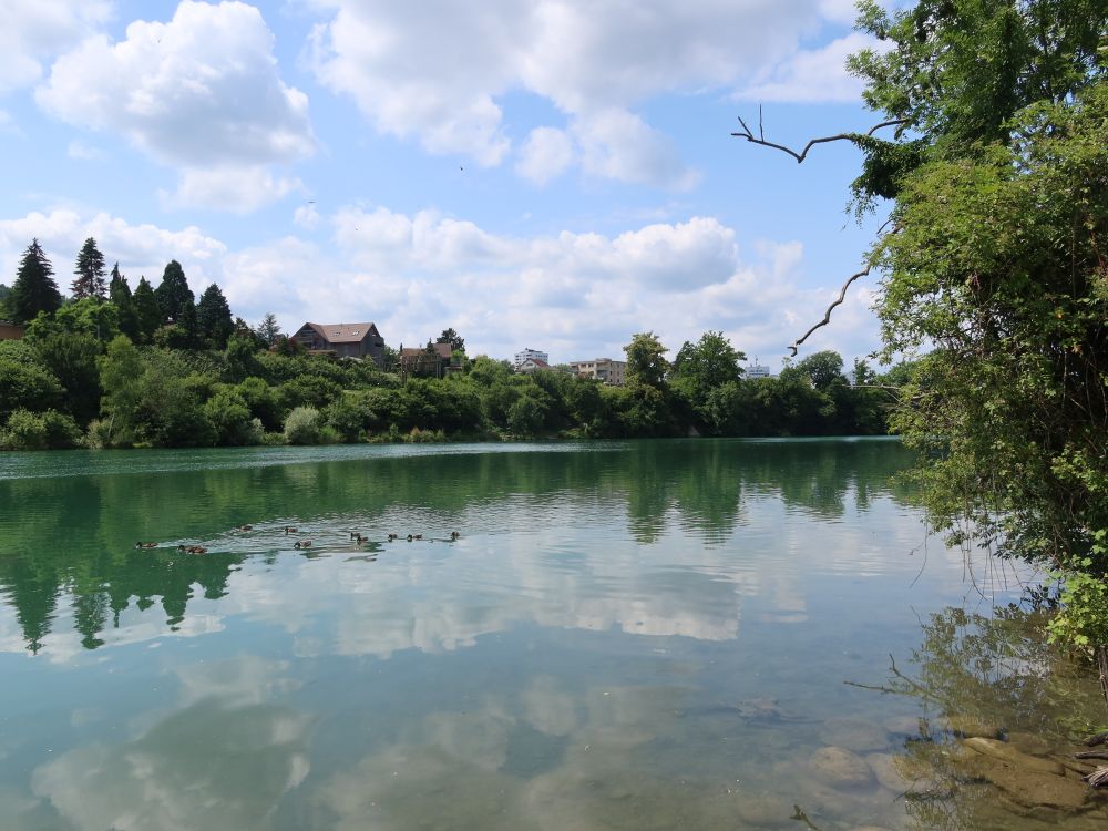 Limmat