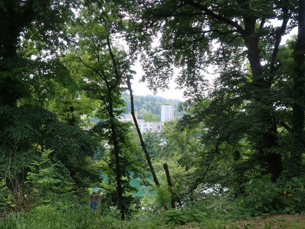 Neuenhof zwischen den Bäumen