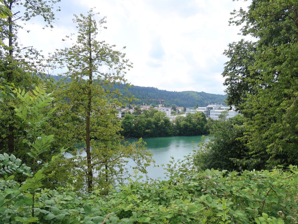 Limmat bei Neuenhof