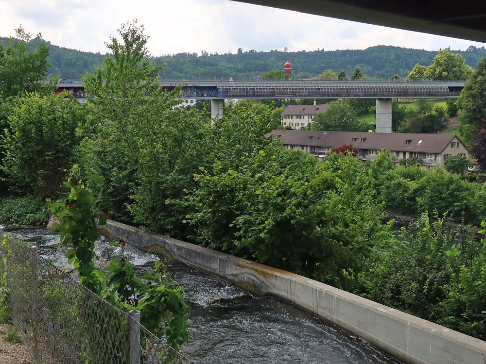 Fischtreppe und Strassenbrücke