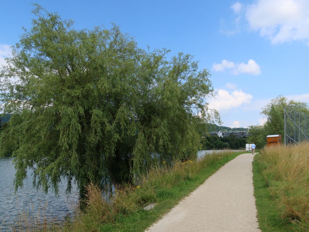Kulturweg Limmat