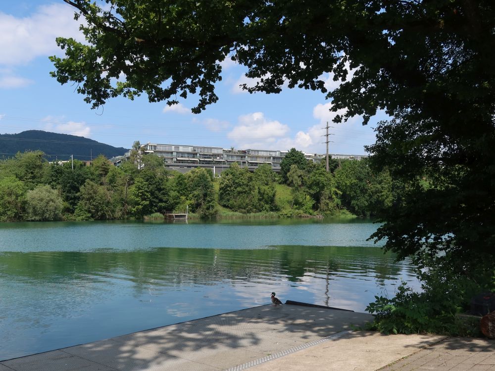 Limmat