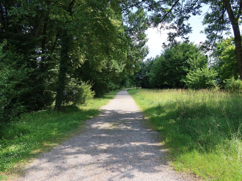 Weg am Limmatufer