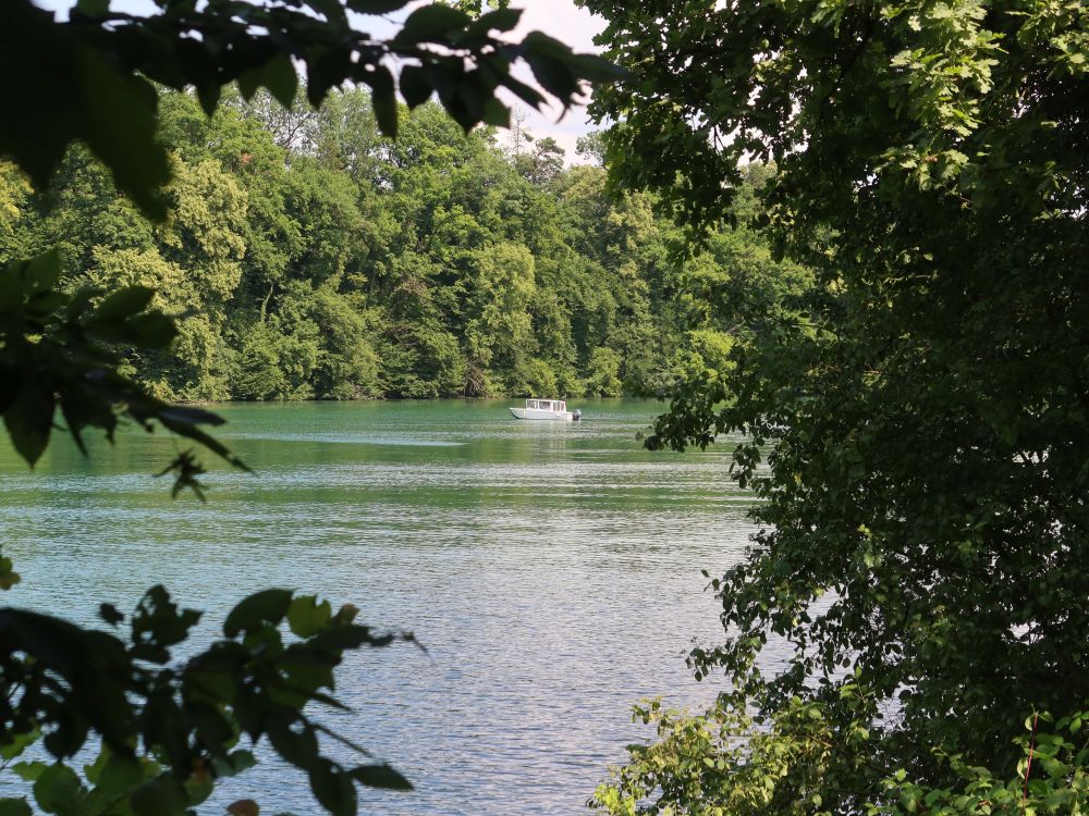 Motorboot auf der Limmat