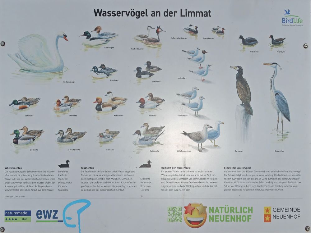 Infotafel
