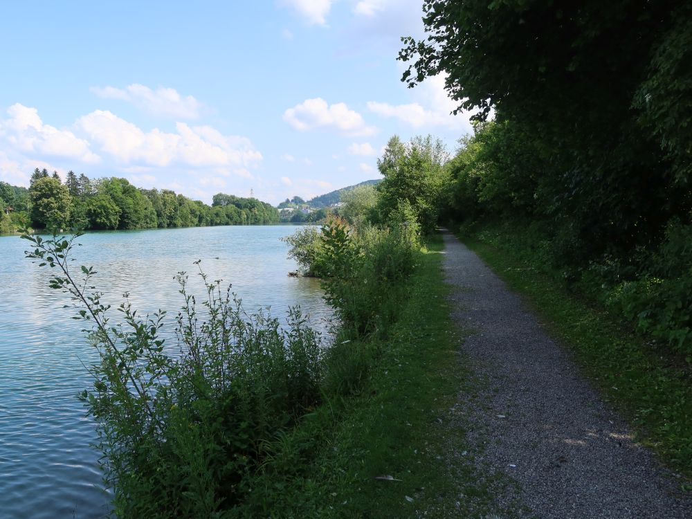 Weg am Limmatufer
