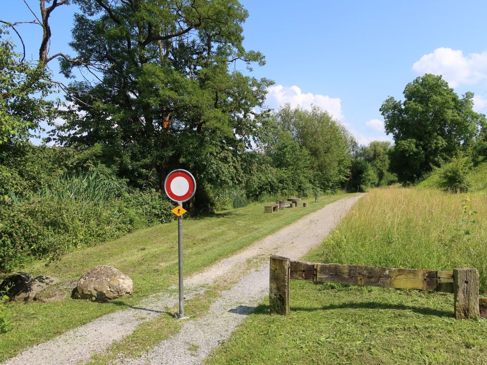 Limmatuferweg mit Grillstelle