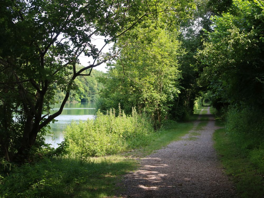 Limmatuferweg