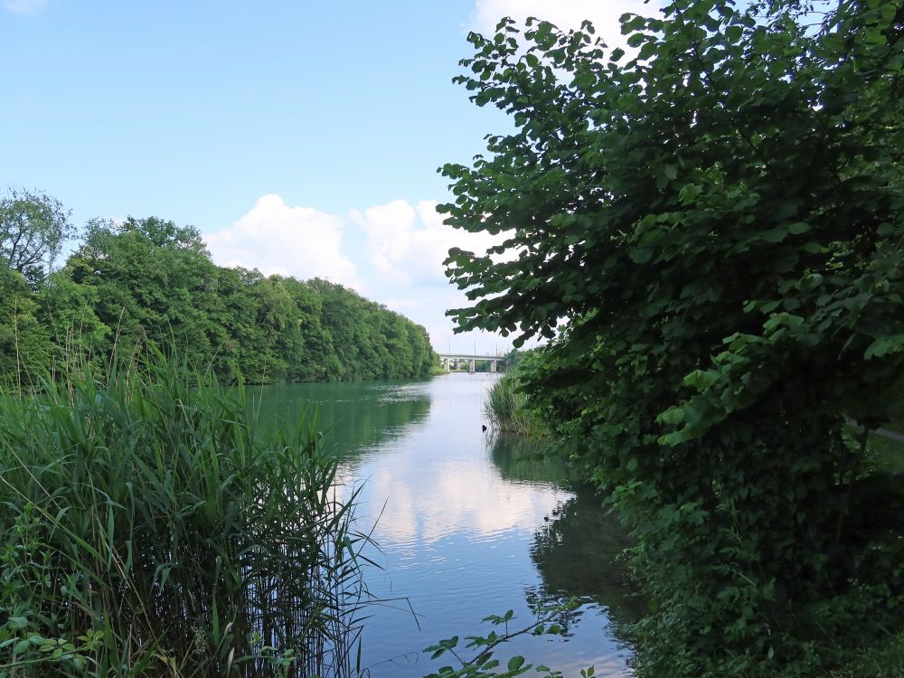 Limmat