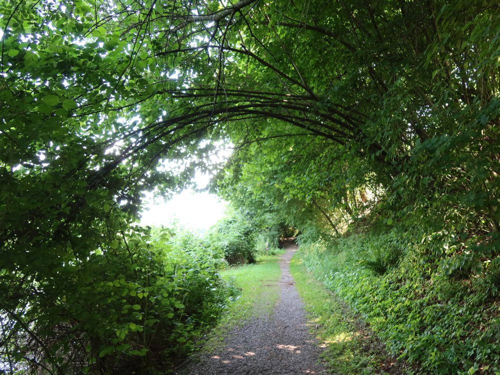 Limmatuferweg