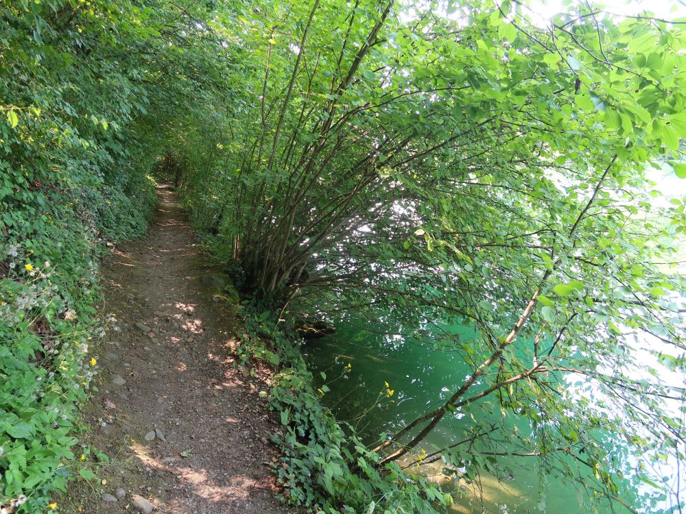 Limmatuferweg