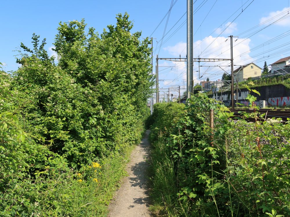 Pfad an der Bahnlinie