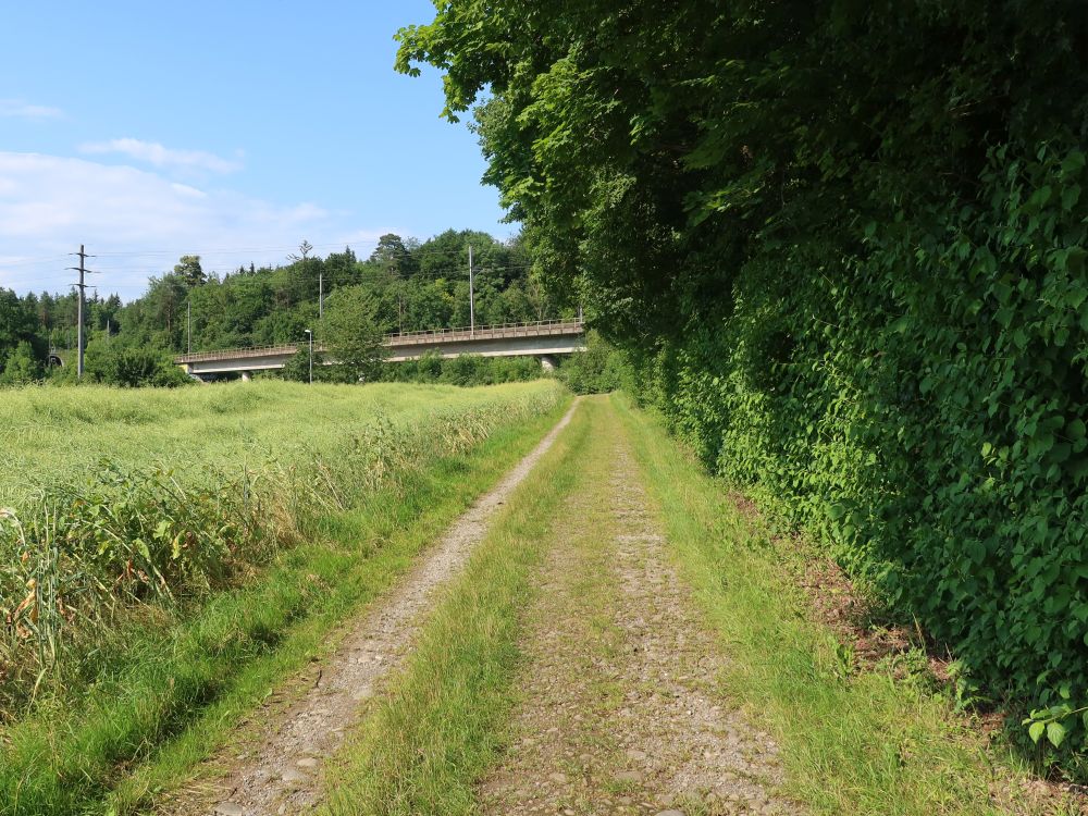 Weg bei Raststätte Würenlos
