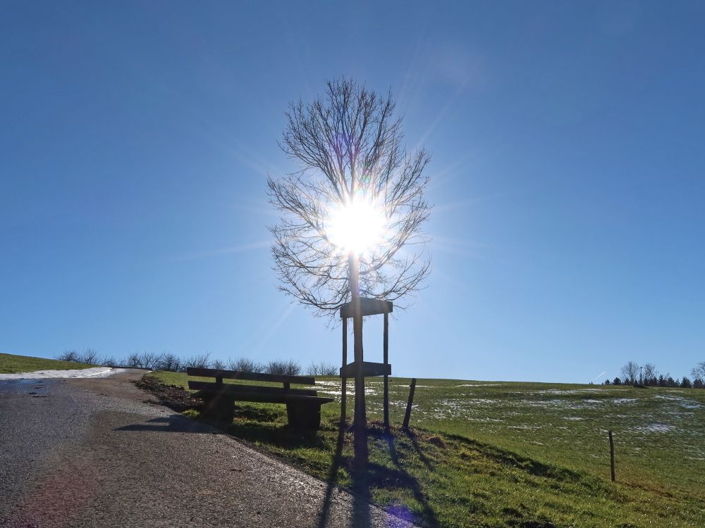 Sitzbank im Gegenlicht