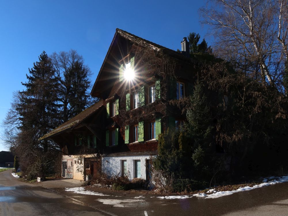 Spiegelung im Fenster