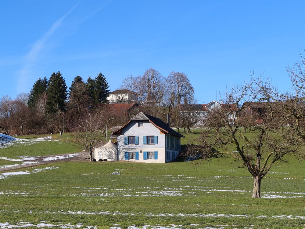 Wydenholz unterm Nollen