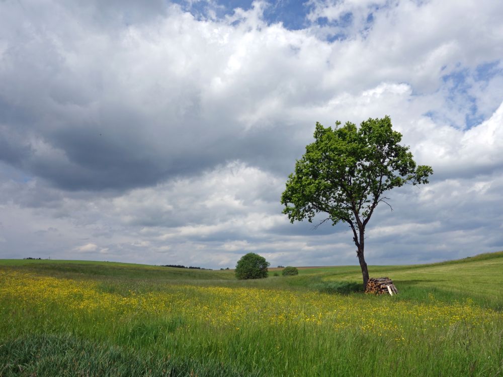 Landschaft mit Wolken