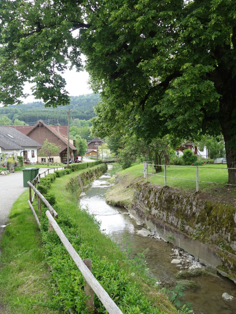 Mühlebach in Aselfingen