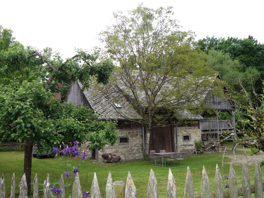 Haus in Aselfingen