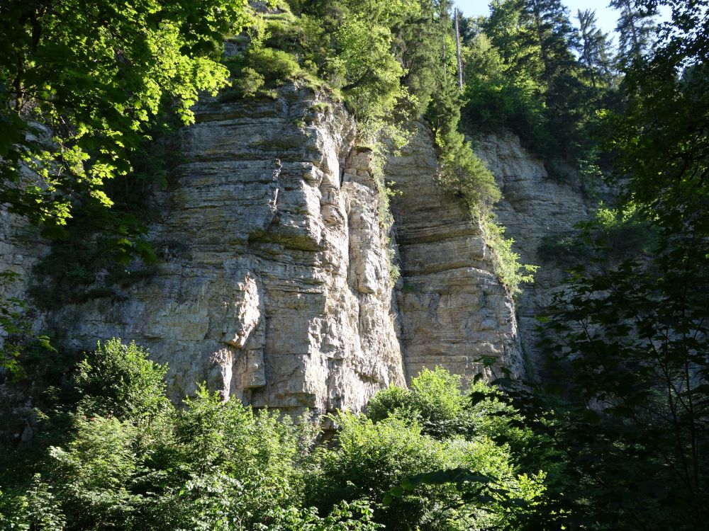 Fels an der Wutach