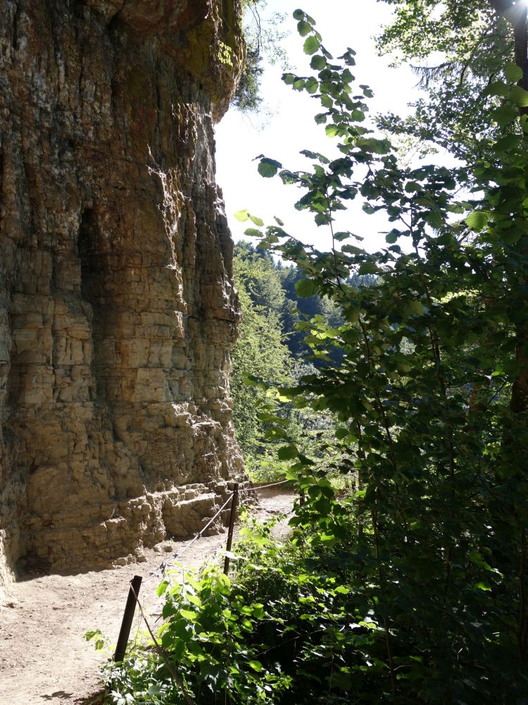 Schluchtensteig